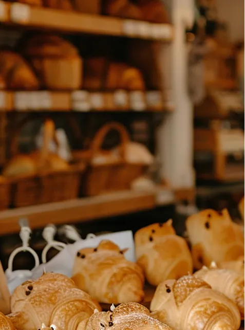 岡山県の動物病院OneVET