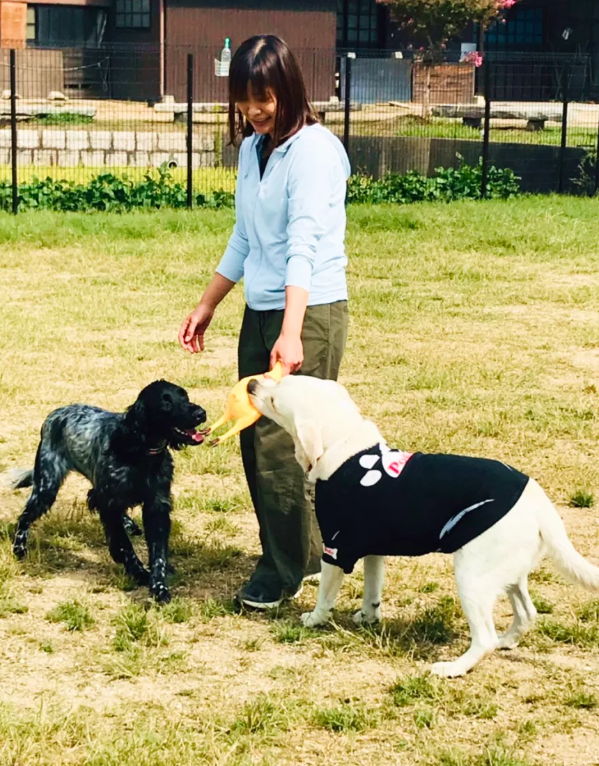 岡山県の動物病院OneVET