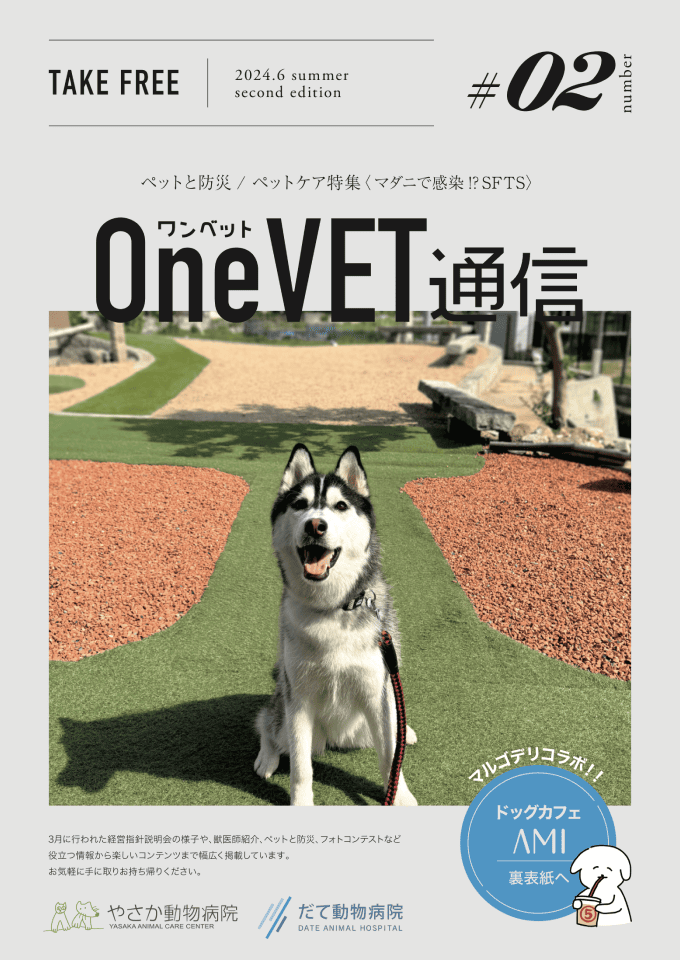 OneVET通信