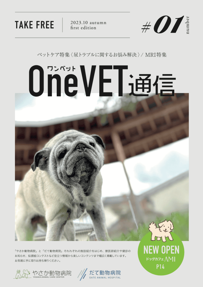 OneVET通信